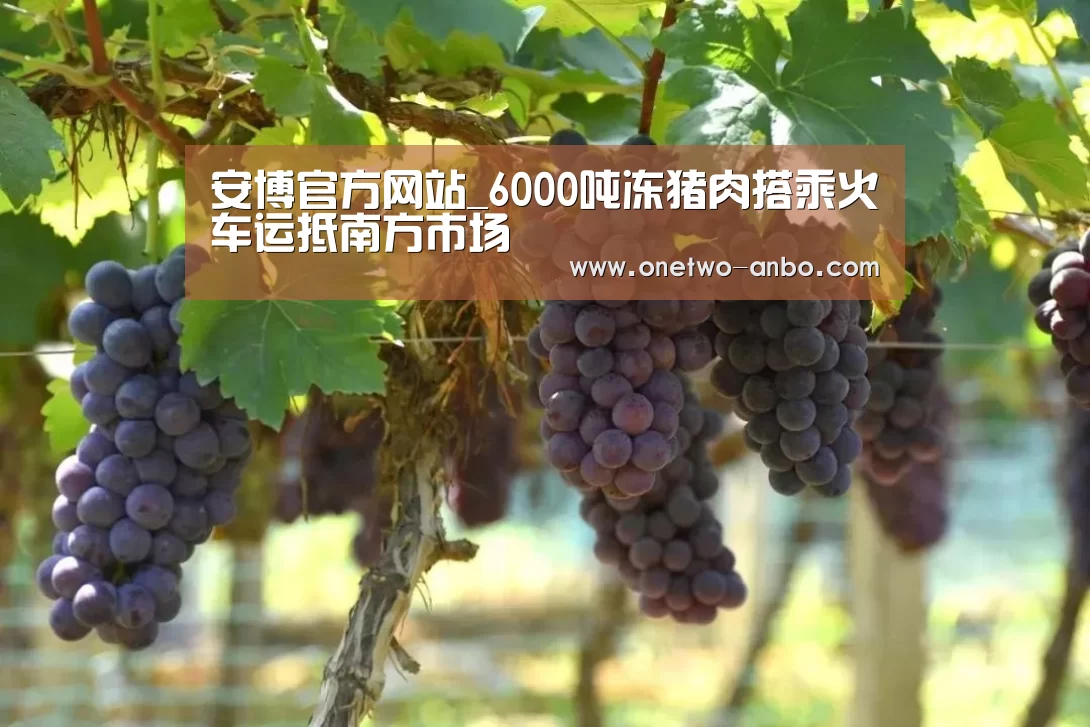安博官方网站_6000吨冻猪肉搭乘火车运抵南方市场(图1) 安博最新版