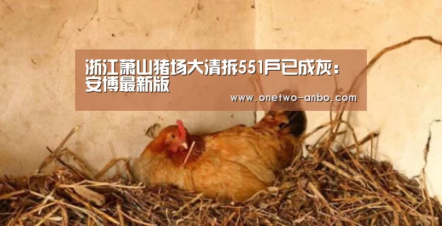 安博最新版