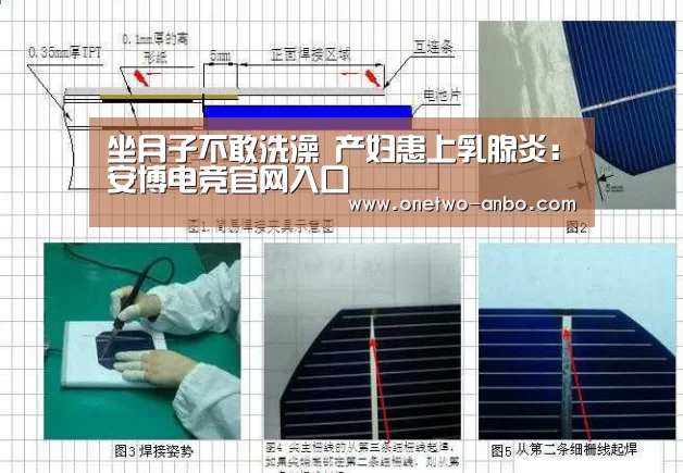 安博最新版