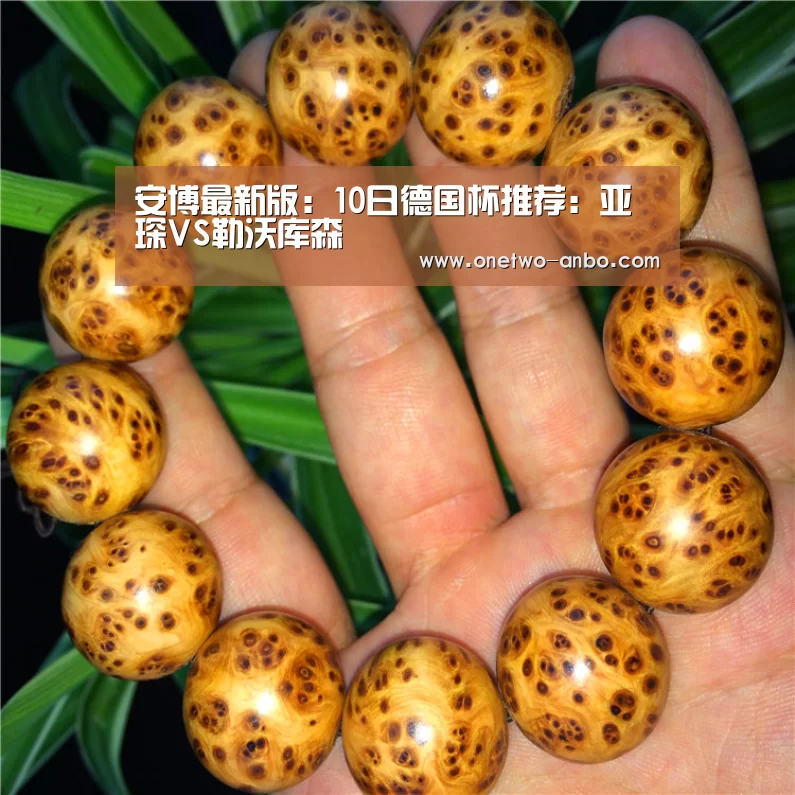 安博最新版:10日德国杯推荐:亚琛VS勒沃库森(图1) 安博最新版
