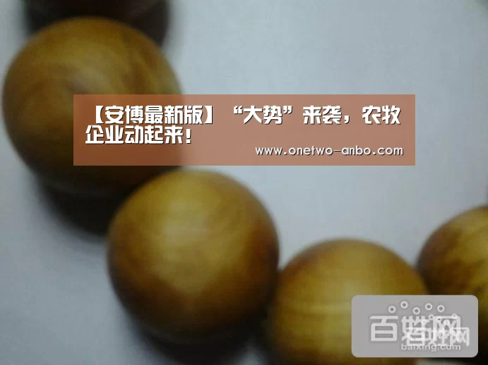 ANBO体育APP下载