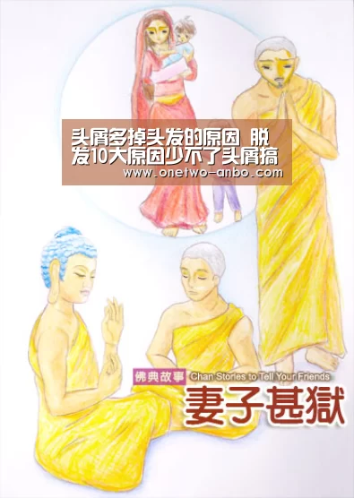 安博最新版