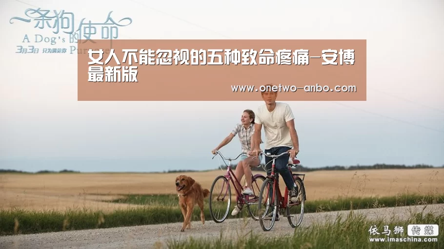 安博最新版